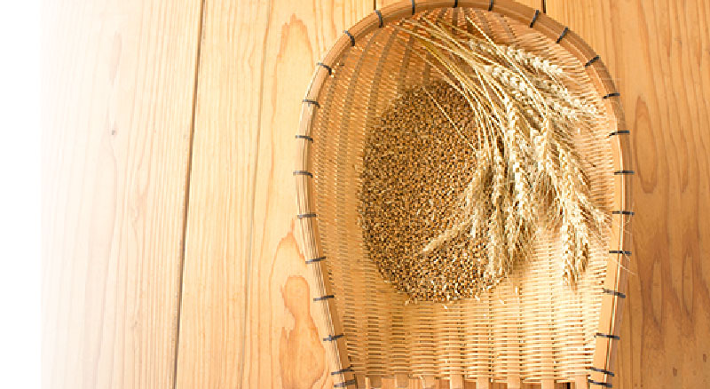 小麦粉（熊本県産）無農薬・有機：菊池まるごと市場