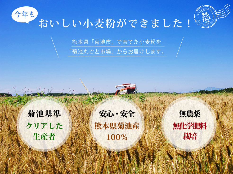 ǯ̣ƤǤޤܸӤǰƤƤӤޤ뤴ȻԾ줫餪Ϥޤ