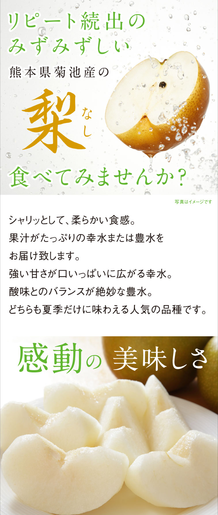 ޤ˭塡ự