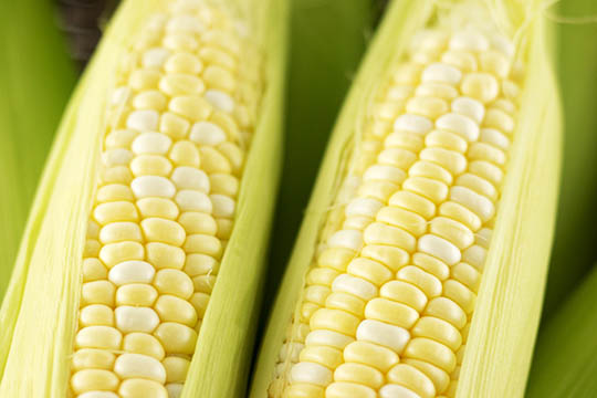 スイートコーン
