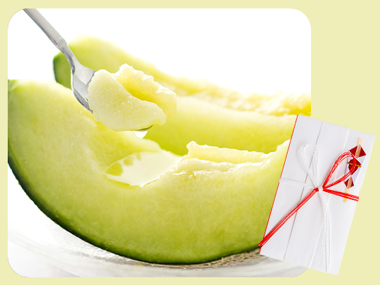 肥後グリーンメロン