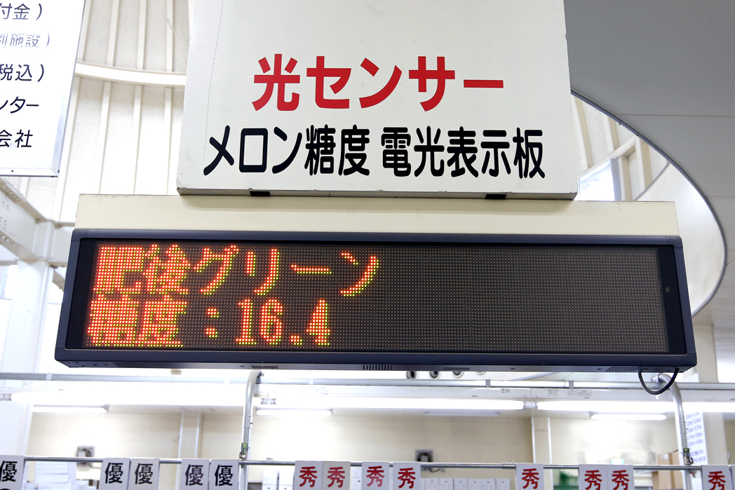 糖度14度以上メロン