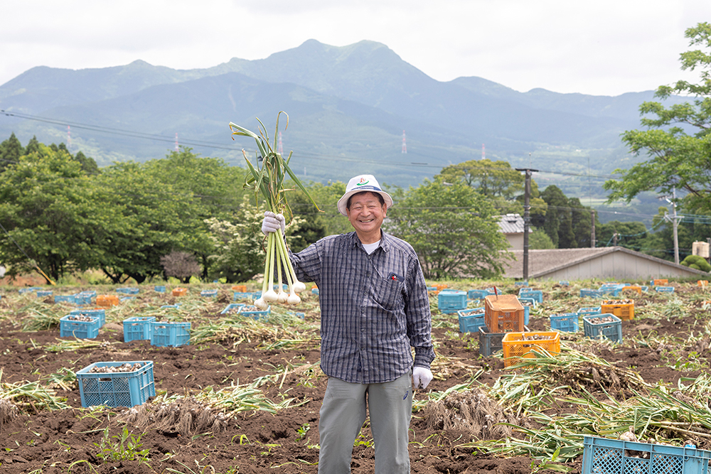 熊本県産にんにく