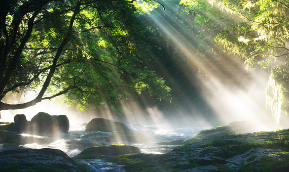菊池まるごと市場 水の恵みをまるごと
