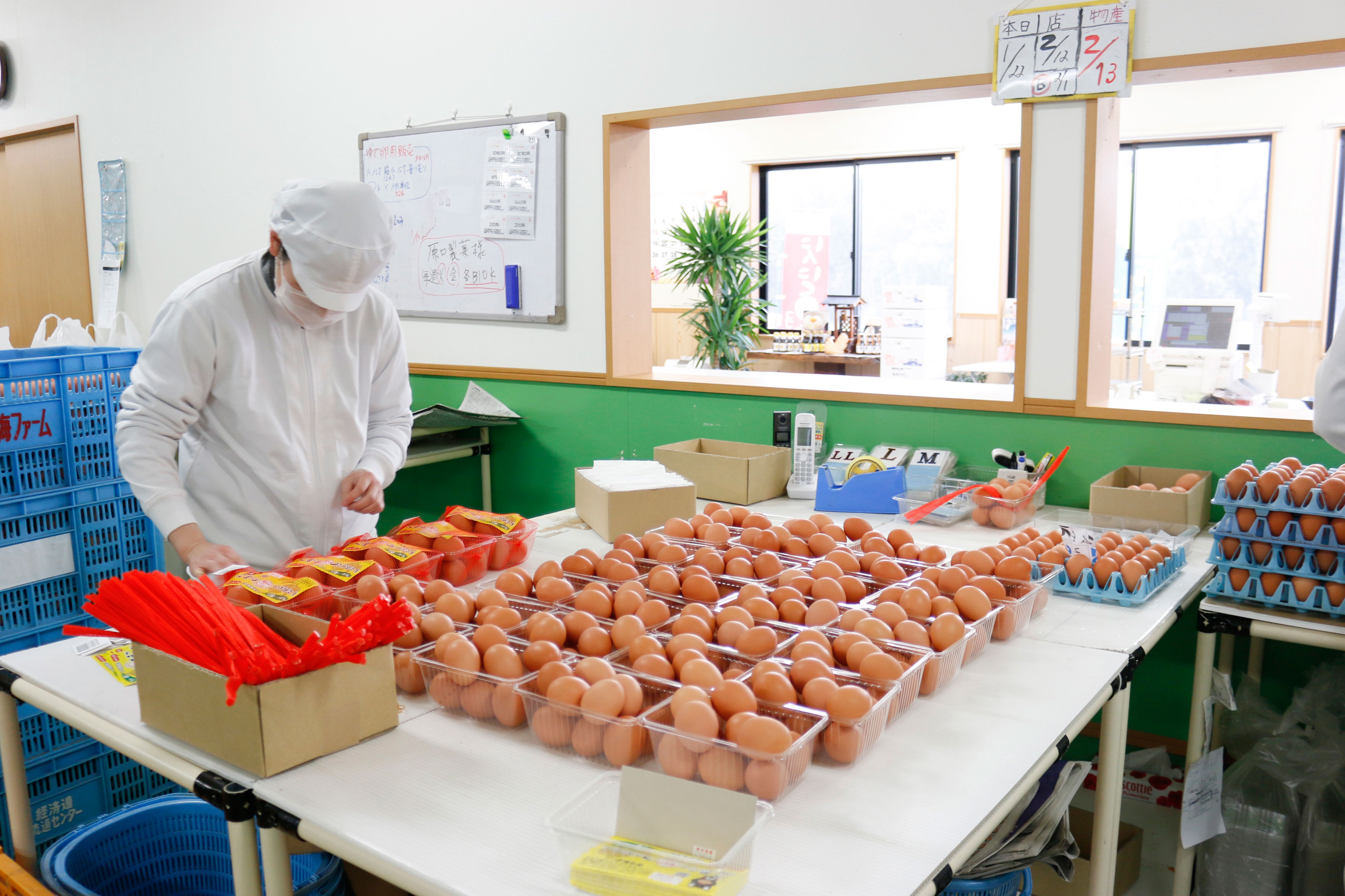 野菜と卵のセット