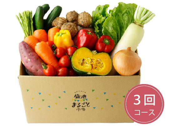 熊本県産野菜セット