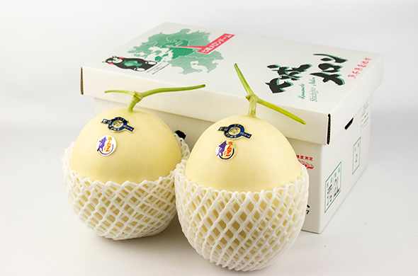 熊本県産メロン