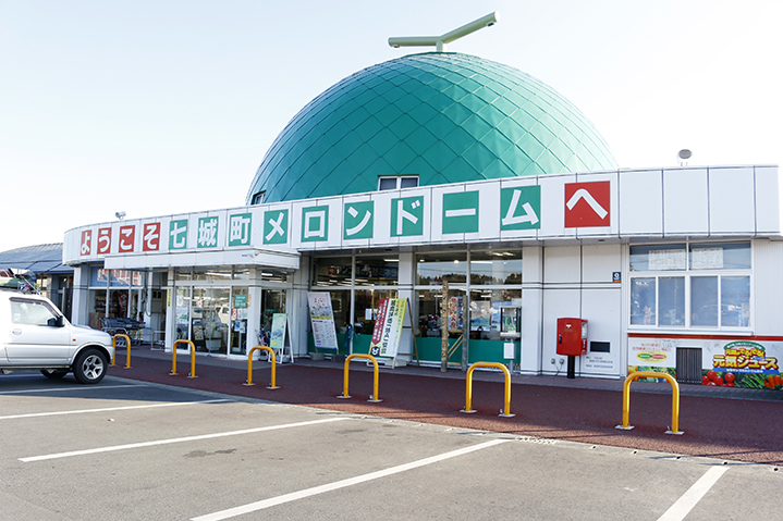 熊本県産メロン