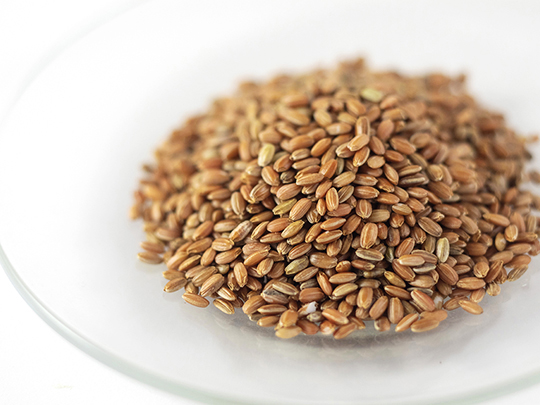 自然栽培米　赤米