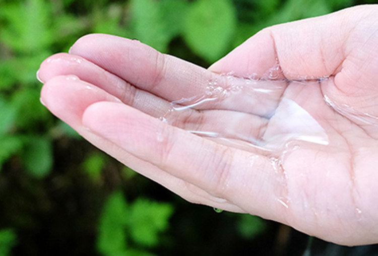 熊本県産シリカ水
