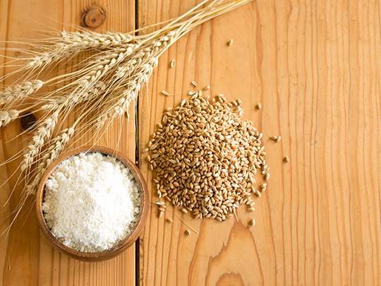 無農薬の薄力粉