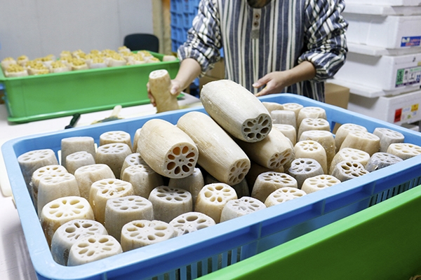 熊本県産からし蓮根