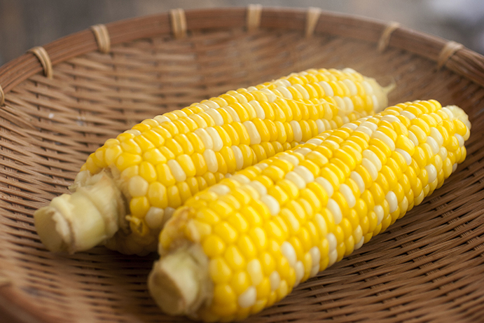 熊本県産ドルチェドリーム