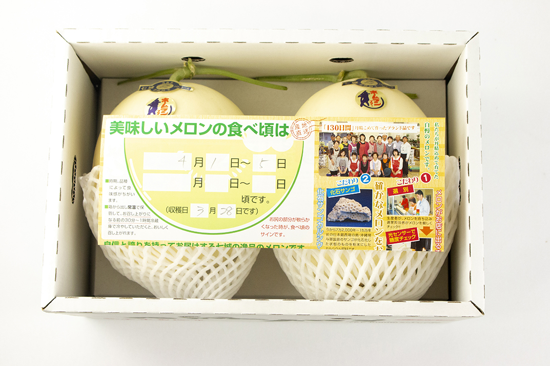 熊本県産ホームランメロン