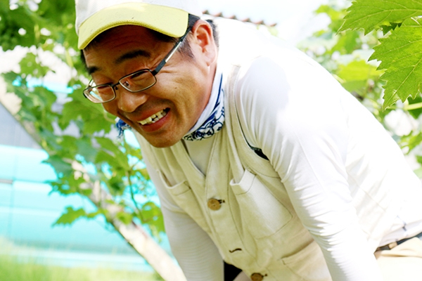 熊本県産デラウェア