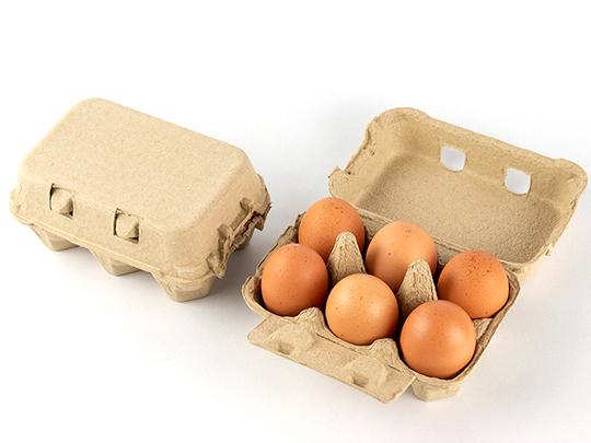 つづき養鶏場のにんにくたまご6個入り