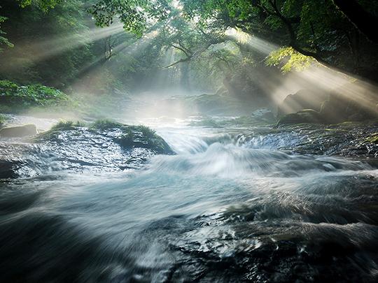 浸みわたる水素水500ml×30本