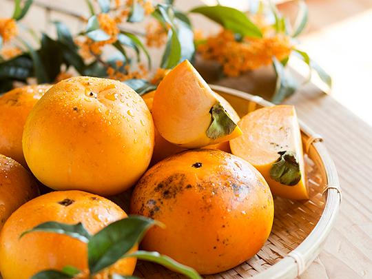 無添加ドライフルーツ柿30g