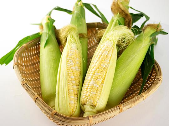 【予約】ドルチェドリーム8本入り