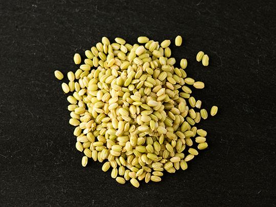 ろのわの有機赤米100g