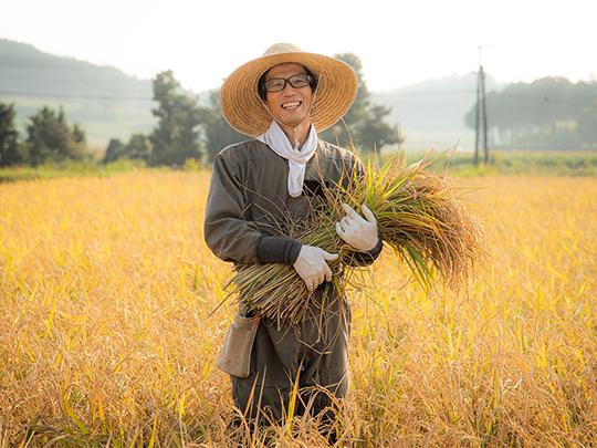 きくち村の緑米白玉粉120g