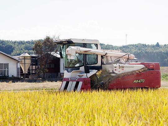 高野さんちの有機小麦粉（強力粉）500g