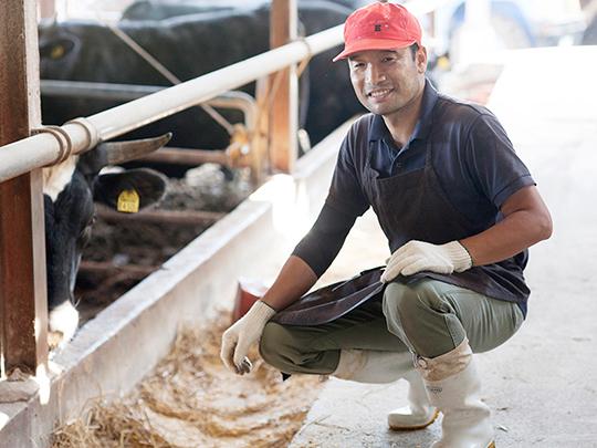 旭志の旭志牛ビーフカレー