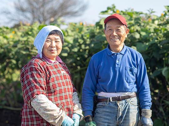 きくちの菊芋チップス(フレーク状40g)