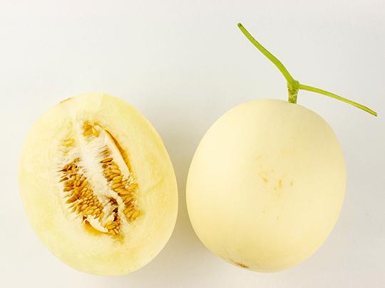 【予約限定】ホームランメロン2玉