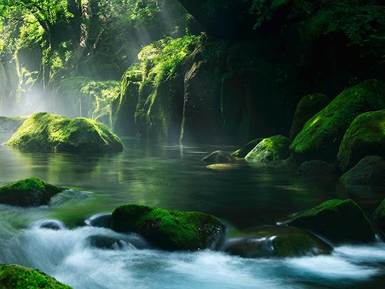 シリカ水きくち500ml×24本