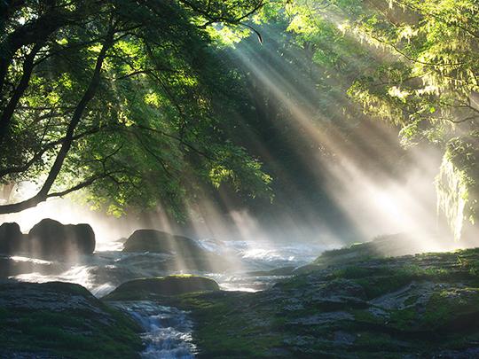 菊池水ピュアウォーター12L×2本