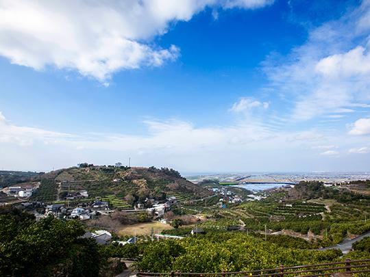 無添加ドライフルーツみかん20g