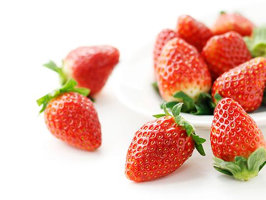 七城ゼリーシャーベット青メロン