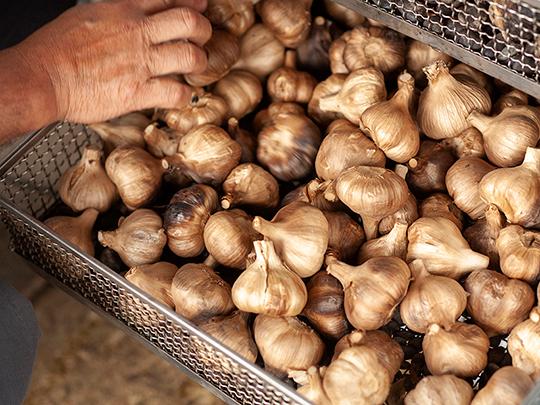 熟成黒ニンニク