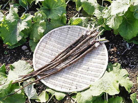 ピクルス野菜ミックス袋入