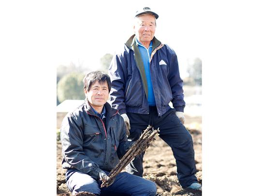 村上さんの乾燥ごぼう30g