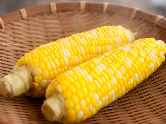 【予約】ドルチェドリーム8本入り