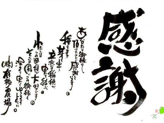高野さんちの有機もち麦300g