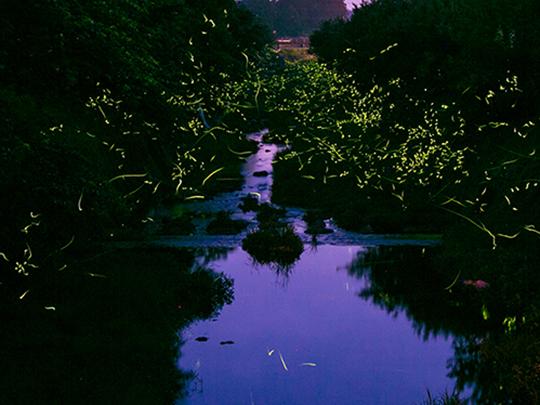 旭志牛ローストビーフ200g