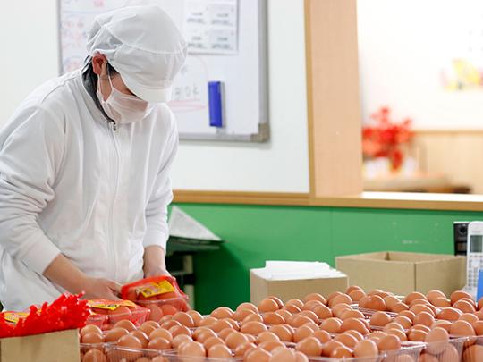 つづき養鶏場のにんにくたまご6個入り