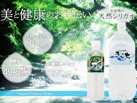 シリカ水きくち500ml×24本