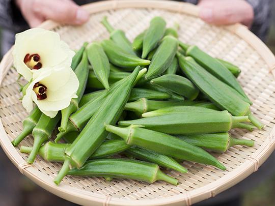 【お試し】旬の野菜セット8品（送料込み）