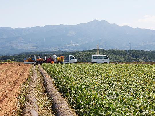 【お試し】旬の野菜セット8品（送料込み）