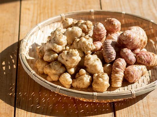 イヌリン豊富　菊芋1kg 熊本県菊池産