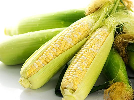 【予約】ドルチェドリーム8本入り