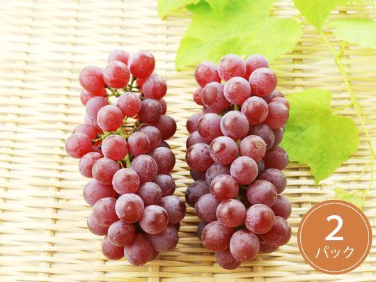 中村さんのデラウエア×2パック