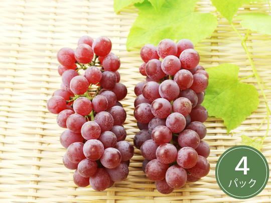 中村さんのデラウエア×4パック