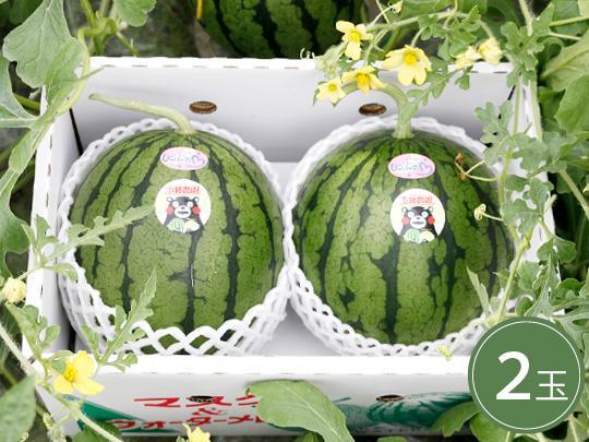 【予約】熊本県産小玉スイカ2玉