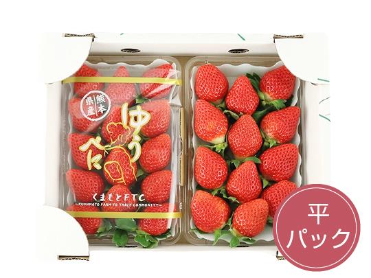七楽の郷のいちご（約300gパック×2パック)