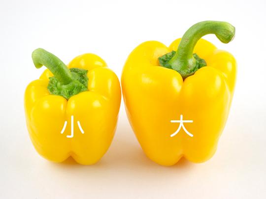 国産肉厚パプリカ大(赤5黄5)